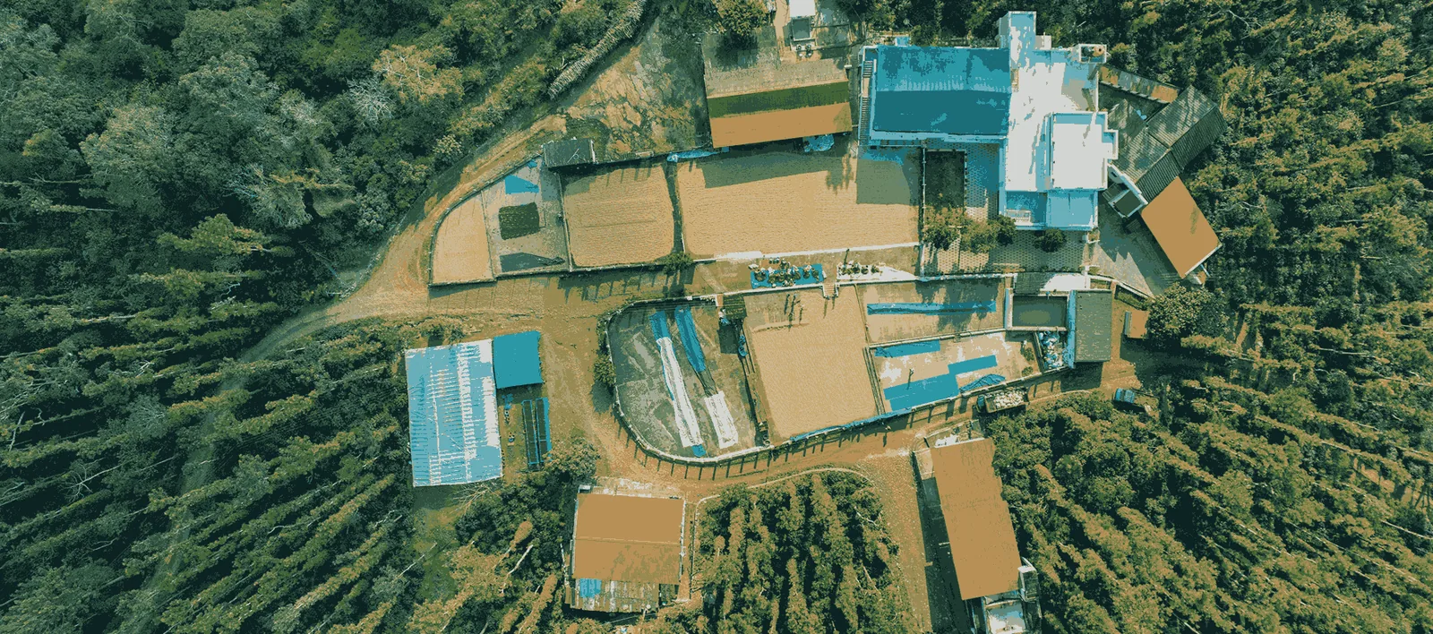 Moments From Our Farm — PKC Kudiraipanjan Estate
